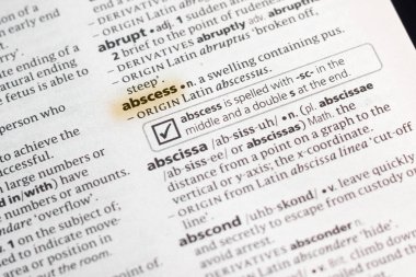 Marker ile vurgulanan sözlüğe sözcük veya tümcecik apse.