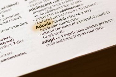 Sözcük veya tümceciğin Adonis marker ile vurgulanan bir sözlük.