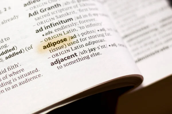 Слово Словосочетание Adipose Словаре Выделенном Маркером — стоковое фото