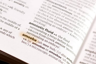 Sözcük veya tümceciğin marker ile vurgulanan bir sözlük amip.