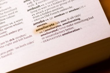 Sözcük veya tümceciğin marker ile vurgulanan bir sözlük Ameliorate.