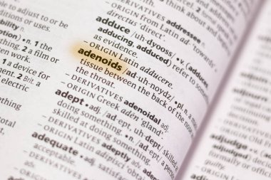 Marker ile vurgulanan sözlüğe sözcük veya tümcecik lenf bezleri.