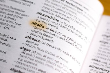 Sözcük veya tümceciğin marker ile vurgulanan bir sözlük yonca.