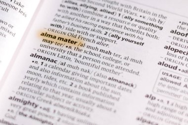 Sözcüğün veya tümceciğin okulumu bir sözlük marker ile vurgulanan.