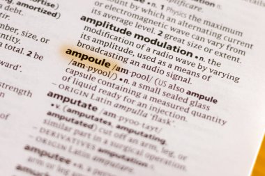 Sözcük veya tümceciğin marker ile vurgulanan bir sözlük ampül.