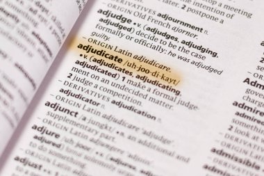 Sözcük veya tümceciğin marker ile vurgulanan bir sözlük Adjudicate.