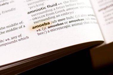 Sözcük veya tümceciğin marker ile vurgulanan bir sözlük amip.