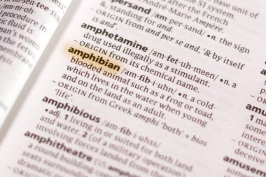 Sözcük veya tümceciğin amfibi marker ile vurgulanan bir sözlük.