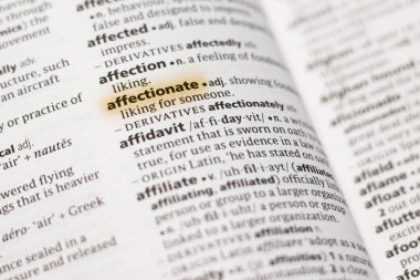 Sözcük veya tümceciğin sevecen marker ile vurgulanan bir sözlük.