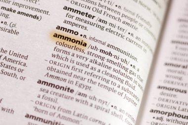 Sözcük veya tümceciğin marker ile vurgulanan bir sözlük amonyak.