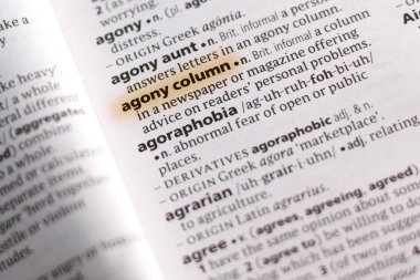 Sözcüğün veya tümceciğin marker ile acı bir sözlük sütununda vurgulanmış.