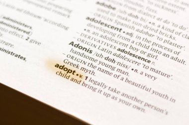 Sözcük veya tümceciğin marker ile vurgulanan bir sözlük evlat edinmek.