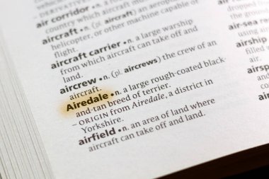 Sözcük veya tümceciğin Airedale marker ile vurgulanan bir sözlük.