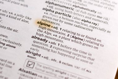 Sözcüğün veya tümceciğin marker ile vurgulanan Sözlükteki alp.