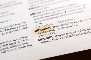 Sözcük veya tümceciğin marker ile vurgulanan bir sözlük albümin.