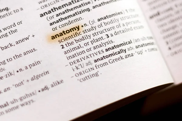 Word Phrase Anatomy Dictionary Highlighted Marker — Stock Photo, Image