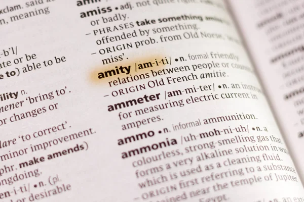 Word Phrase Amity Dictionary Highlighted Marker — Stock Photo, Image