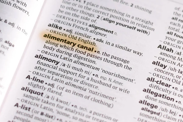 Sözcük veya tümceciğin marker ile vurgulanan bir sözlük kurbanın Canal.