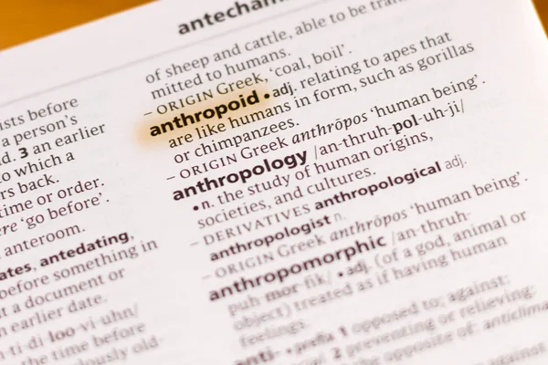 Слово Словосочетание Anthropoid Словаре Выделенном Маркером — стоковое фото