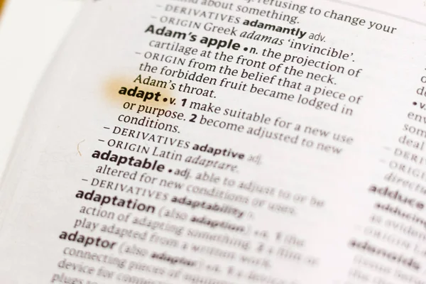 Λέξη Φράση Adapt Ένα Λεξικό Που Επισημαίνονται Μαρκαδόρο — Φωτογραφία Αρχείου
