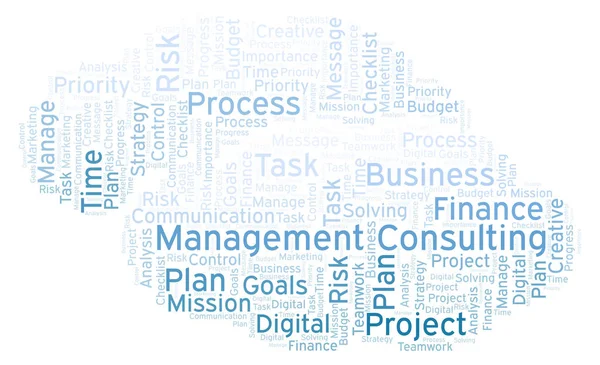 Management Consulting word cloud, made with text only