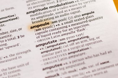 Sözcük veya tümceciğin marker ile vurgulanan bir sözlük ampül.