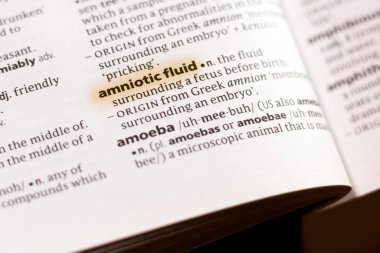 Sözcük veya tümceciğin marker ile vurgulanan bir sözlük amniyon sıvısı.