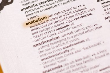 Sözcük veya tümceciğin Anabolizma marker ile vurgulanan bir sözlük.