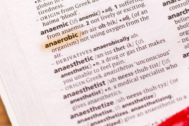 Sözcük veya tümceciğin Anaerobic marker ile vurgulanan bir sözlük.