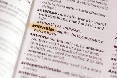 Sözcük veya tümceciğin Antenatal marker ile vurgulanan bir sözlük.