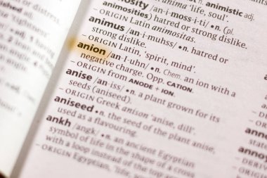 Sözcük veya tümceciğin anyon marker ile vurgulanan bir sözlük.