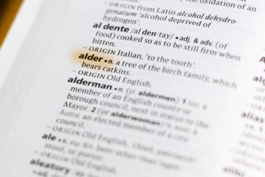 Sözcük veya tümceciğin marker ile vurgulanan bir sözlük Kızılağaç.