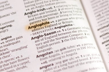 Sözcüğün veya tümceciğin Sözlükteki İngiliz marker ile vurgulanan.