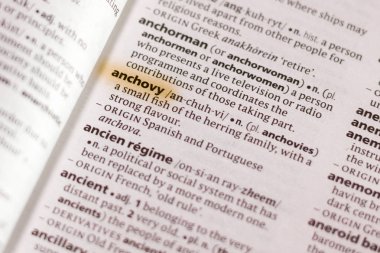 Sözcük veya tümceciğin marker ile vurgulanan bir sözlük hamsi.