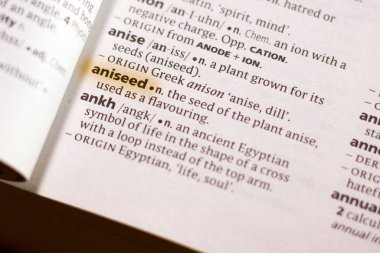 Sözcük veya tümceciğin marker ile vurgulanan bir sözlük anason.