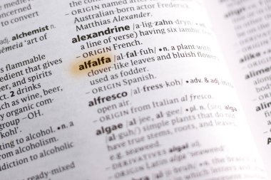 Sözcük veya tümceciğin marker ile vurgulanan bir sözlük yonca.