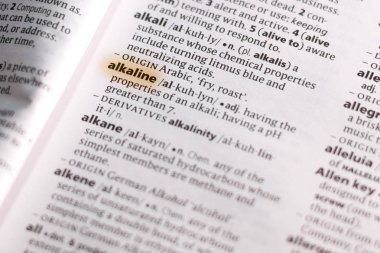 Sözcük veya tümceciğin marker ile vurgulanan bir sözlük alkalin.