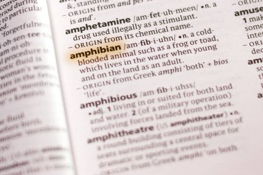 Sözcük veya tümceciğin amfibi marker ile vurgulanan bir sözlük.