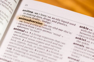 Sözcük veya tümceciğin marker ile vurgulanan bir sözlük Animadversion.