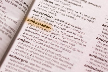 Sözcük veya tümceciğin Büyükelçi marker ile vurgulanan bir sözlük.