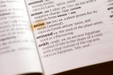 Sözcük veya tümceciğin marker ile vurgulanan bir sözlük anason.