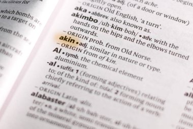 Sözcük veya tümceciğin marker ile vurgulanan bir sözlük akın.