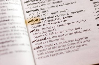 Sözcük veya tümceciğin anyon marker ile vurgulanan bir sözlük.