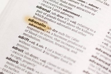 Sözcük veya tümceciğin Adrenalin marker ile vurgulanan bir sözlük.