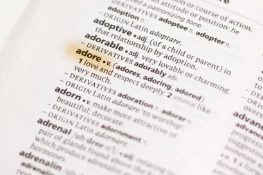 Sözcük veya tümceciğin marker ile vurgulanan bir sözlük bayıldım.