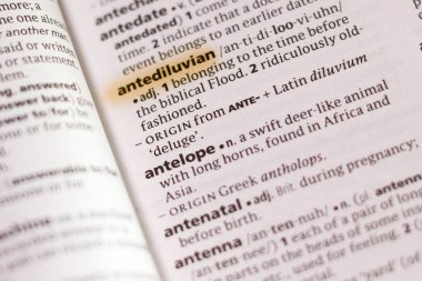 Vurgulanan sözcük veya tümcecik Sözlükteki Antediluvian marker ile.