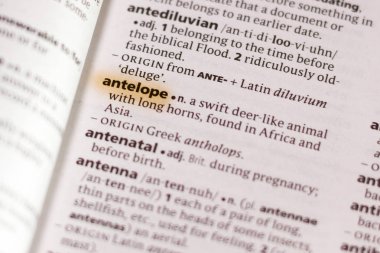 Sözcük veya tümceciğin antilop marker ile vurgulanan bir sözlük.