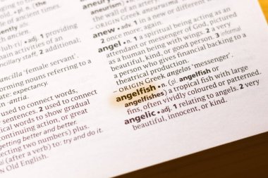 Sözcük veya tümceciğin marker ile vurgulanan bir sözlük Angelfish.