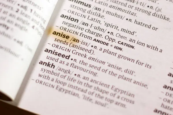用标记突出显示的词典中的单词或短语 Anise — 图库照片