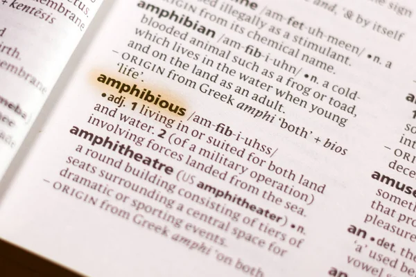 Word Phrase Amphibious Dictionary Highlighted Marker — Stock Photo, Image